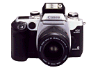 EOSELANI.gif (7651 bytes)