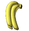 BANANAS.gif (25171 bytes)