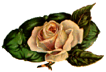 FLOW5.gif (11193 bytes)
